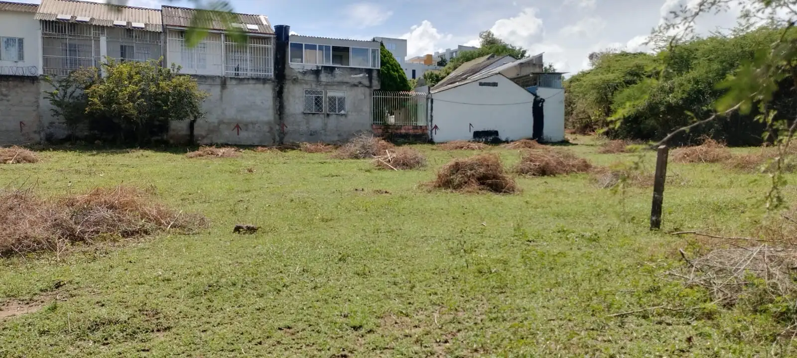 LOTE GIRARDOT - Image 2