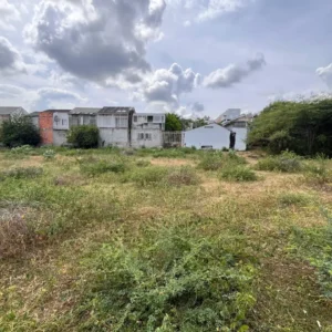 LOTE GIRARDOT