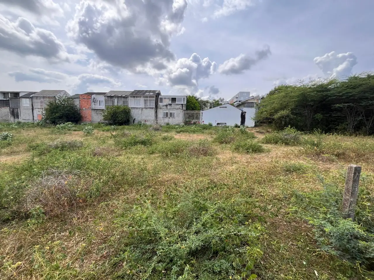 LOTE GIRARDOT