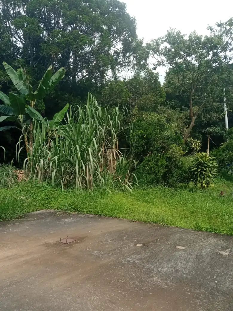 LOTE VÍA SASAIMA - LA VEGA - Image 6