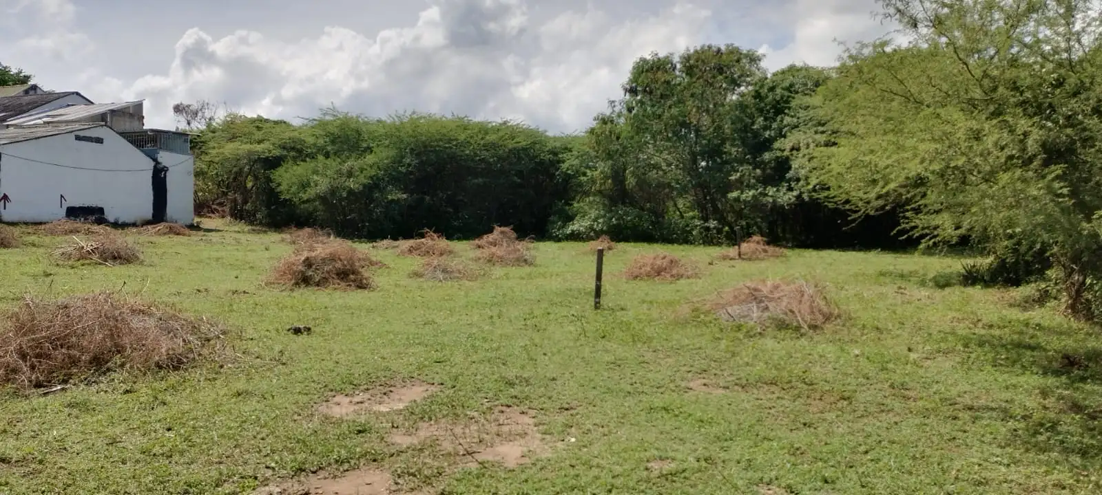 LOTE GIRARDOT - Image 3