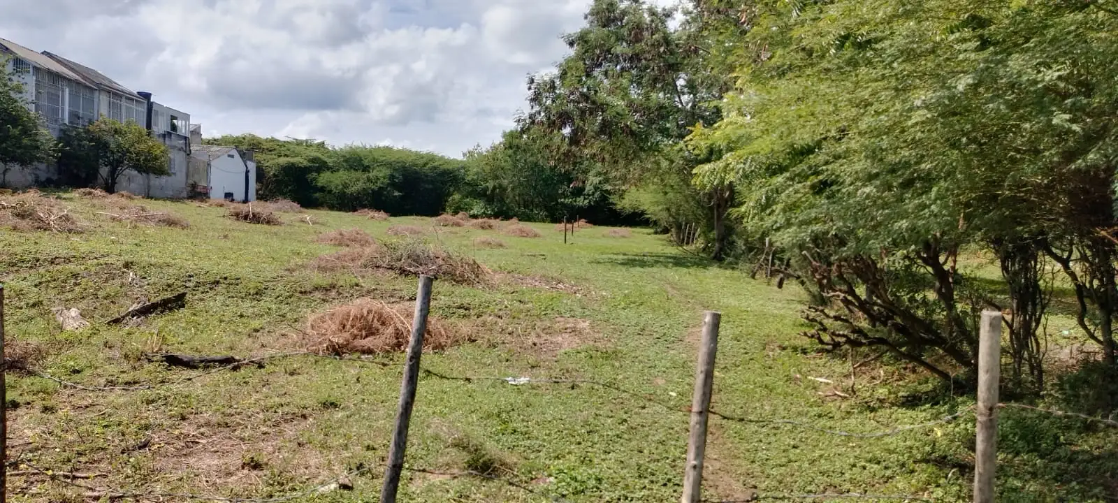 LOTE GIRARDOT - Image 4